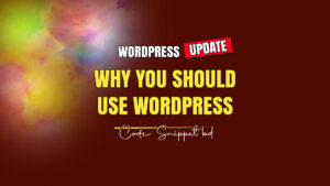 Why you should use WordPress